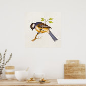  Song Bird Illustration - Birds 1800 Poster (Keuken)