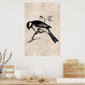 Song Bird Illustration - Birds 1800 Poster (Keuken)