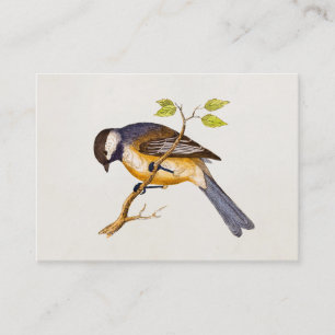 Song Bird Illustration - Birds 1800 Visitekaartje