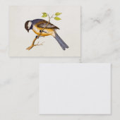  Song Bird Illustration - Birds 1800 Visitekaartje (Voorkant / Achterkant)