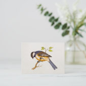 Song Bird Illustration - Birds 1800 Visitekaartje (Staand voorkant)