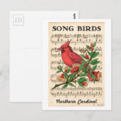 Song Birds Northern Kardinaal Briefkaart (Voorkant / Achterkant)