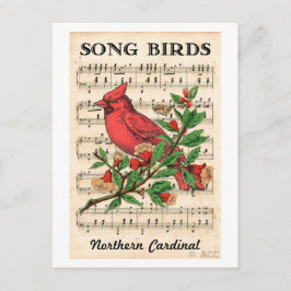 Song Birds Northern Kardinaal Briefkaart
