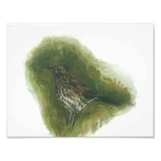 Song lijster tuin vogel aquarel print foto afdruk