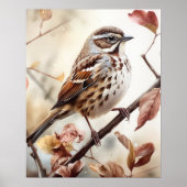 Song Sparrow Bird Art Print Poster (Voorkant)