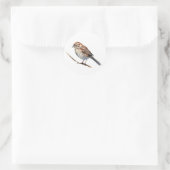 Song Sparrow Bird Stickers (Tas)