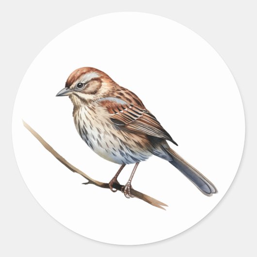 Song Sparrow Bird Stickers (Voorkant)