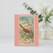 Song Sparrow Briefkaart (Staand voorkant)