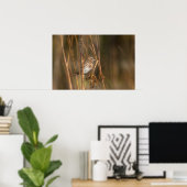 Song Sparrow in de Meadow Poster (Thuiskantoor)