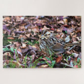 Song Sparrow Legpuzzel (Horizontaal)