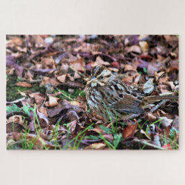 Song Sparrow Legpuzzel