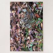 Song Sparrow Legpuzzel (Verticaal)