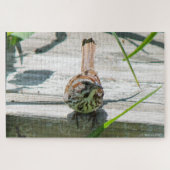 Song Sparrow Legpuzzel (Horizontaal)
