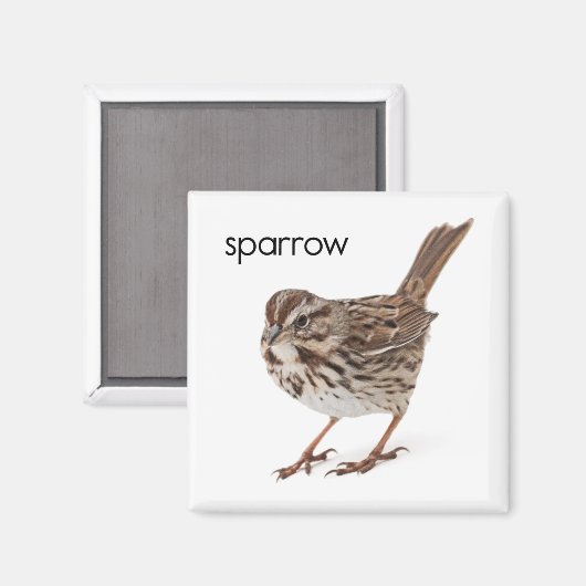 Song Sparrow Magneet (Voorkant / Achterkant)
