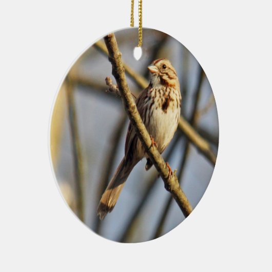 Song Sparrow Ornament (Rechts)