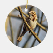 Song Sparrow Ornament (Voorkant)
