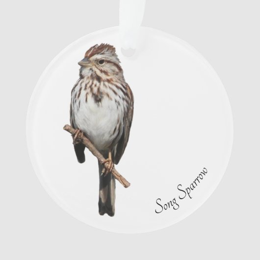 Song Sparrow Ornament (voorkant)