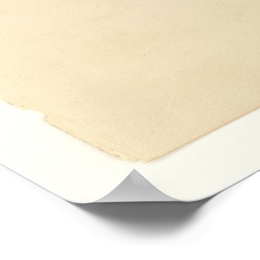 Song Sparrow Poster (Hoek)