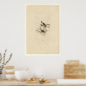 Song Sparrow Poster (Keuken)
