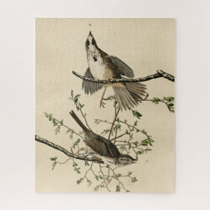 Song Sparrow van Audubon's Birds of America Legpuzzel