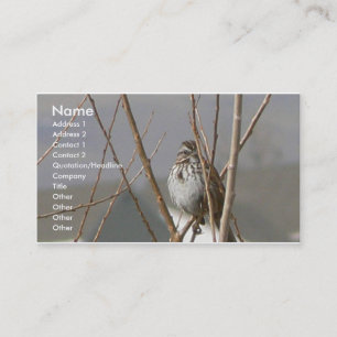 Song Sparrow Visitekaartje