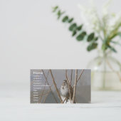 Song Sparrow Visitekaartje (Staand voorkant)