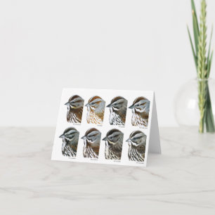 Song Sparrows of California Kaart