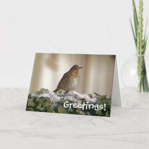 Song Thrush Groeten Kaart