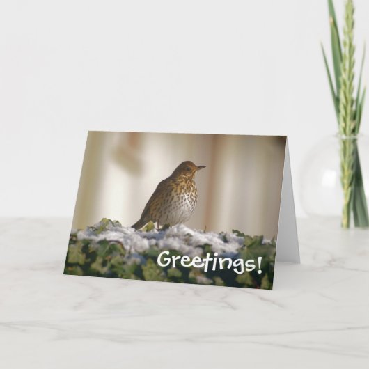 Song Thrush Groeten Kaart (Voorkant)