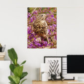 Song Thrush Poster (Thuiskantoor)