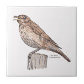 Song Thrush Tile Tegeltje (Voorkant)