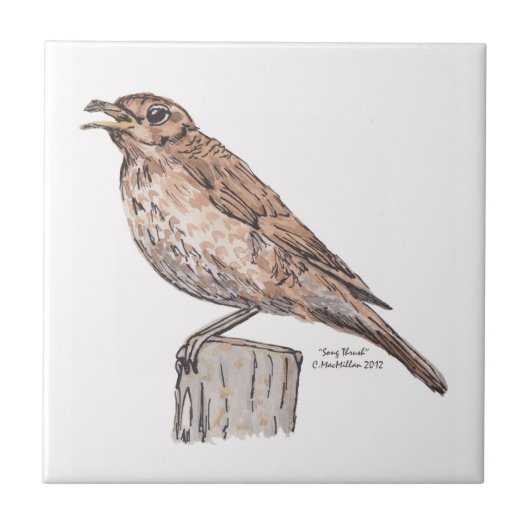 Song Thrush Tile Tegeltje (Voorkant)
