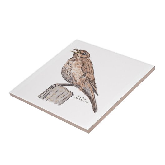 Song Thrush Tile Tegeltje (Zijkant)