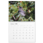 Song van de Prairies Kalender (Jan 2026)