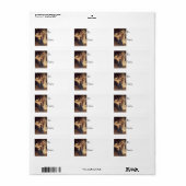 Song van het Label van de kerstman Angels (Full Sheet)