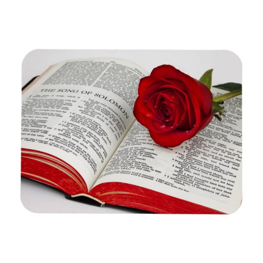 Song van Solomon Gift Premium Magnet Magneet (Horizontaal)