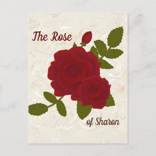 Song van Solomon Roos Designer Briefkaart (Voorkant)