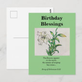 Song van Solomons Birthday Blessing White Lily Briefkaart (Voorkant / Achterkant)