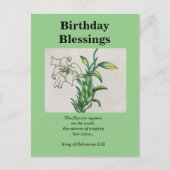 Song van Solomons Birthday Blessing White Lily Briefkaart (Voorkant)