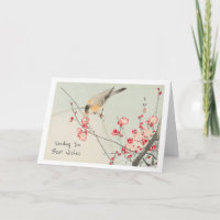Song Vogel Japans Roze Bloesem Groet