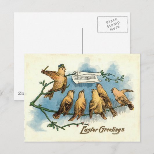 Songbird Choir Sky Singing Song Tree Briefkaart (Voorkant / Achterkant)