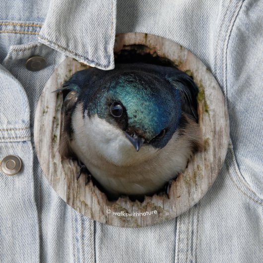 Songbird in Nestbox Ronde Button 6,0 Cm (In situ)