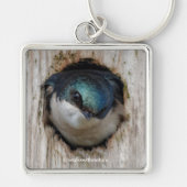 Songbird in Nestbox Sleutelhanger (Voorkant)