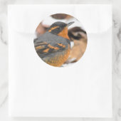 Songbird met verblindende variëteit in de winter ronde sticker (Tas)