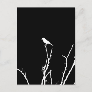 Songbird Night Briefkaart