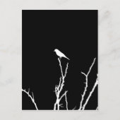 Songbird Night Briefkaart (Voorkant)