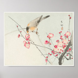Songbird on Blossom Branch beroemd gemaakt door Oh Poster