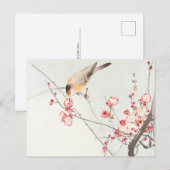 Songbird on blossom tak - Ohara Koson - Art Briefkaart (Voorkant / Achterkant)