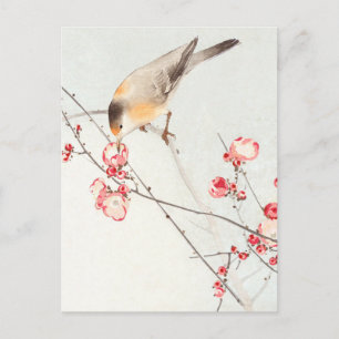 Songbird on blossom tak - Ohara Koson - vergroot Briefkaart