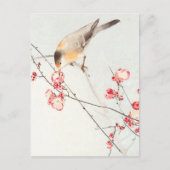 Songbird on blossom tak - Ohara Koson - vergroot Briefkaart (Voorkant)